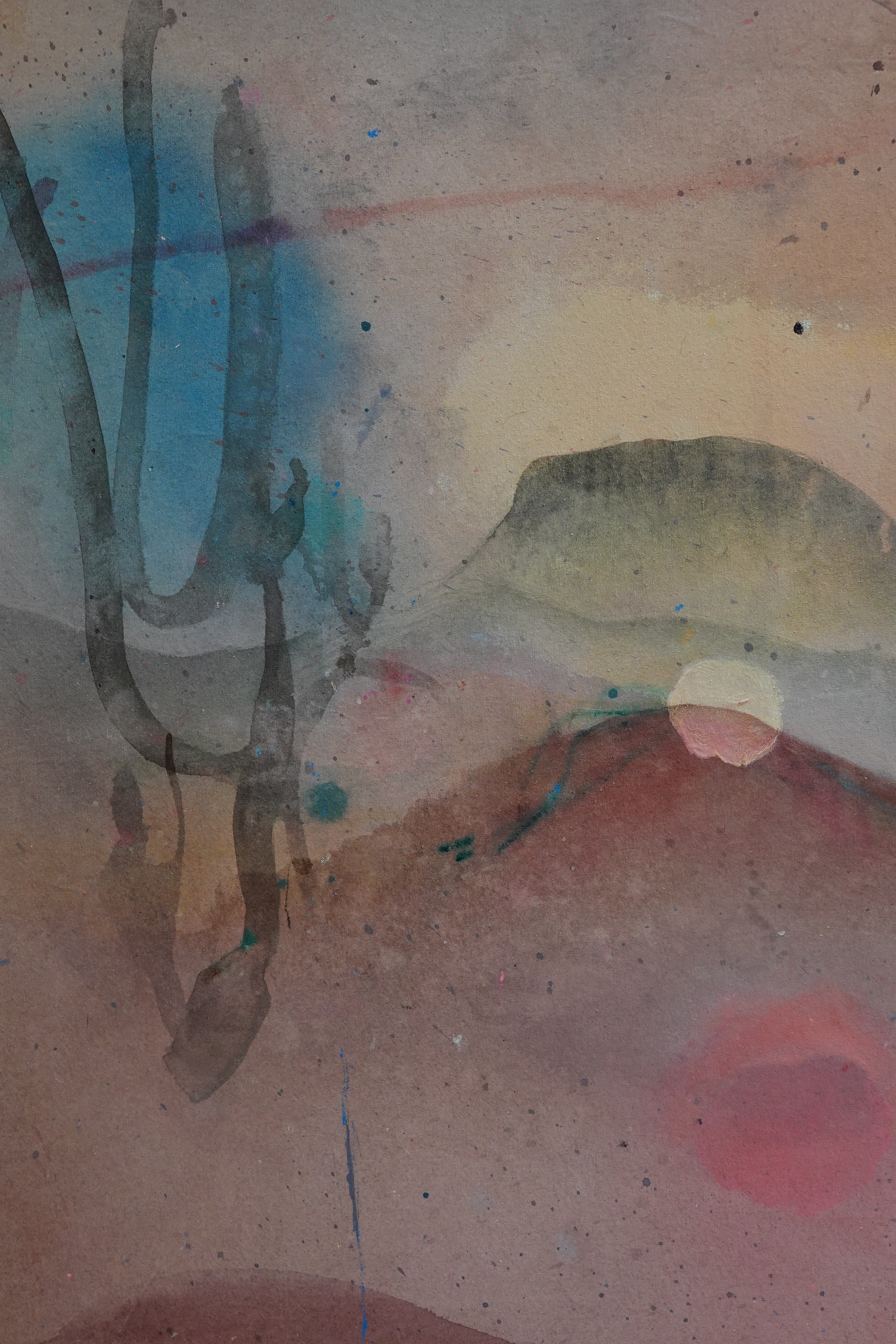 Paseo por el desierto