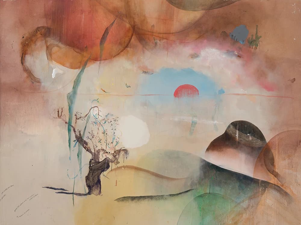 Maravillado por el desierto